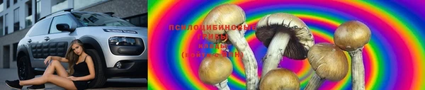 винт Верея