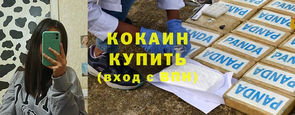 винт Верея