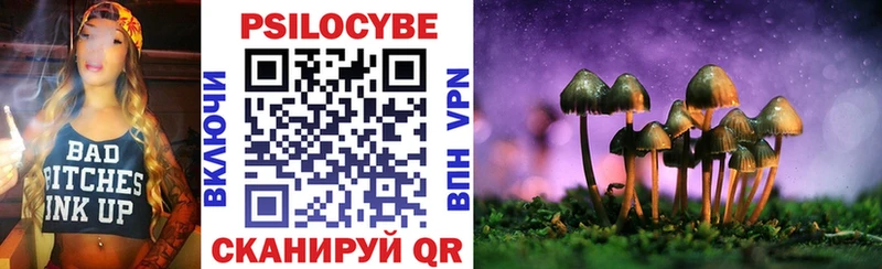 Псилоцибиновые грибы GOLDEN TEACHER  Новосокольники 